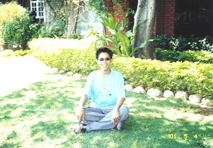 One of the trees to enjoy a shade.