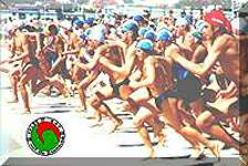 Start of under 16 surf swim. Click to enlarge.