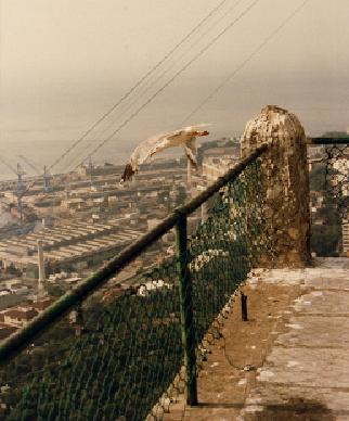 View of the port of Gibraltar