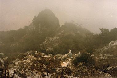 Fog on the rock of Gibraltar
