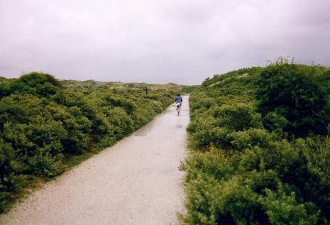 Tara en bicyclette sur le sentier de la Mer du Nord en Hollande