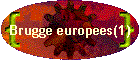 Brugge europees(1)