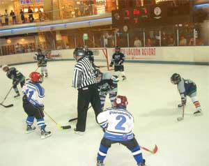 FCFISC Voyagers at Hockey 5