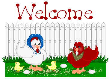 Chicken Set