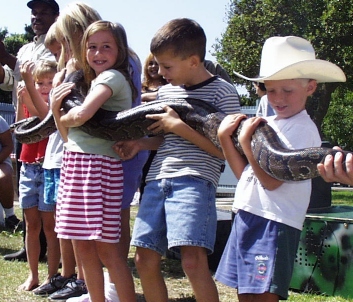 BwSnake.jpg (95467 bytes)