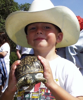 BwTurtle.jpg (68319 bytes)