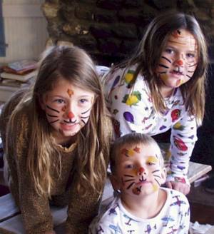 cats.jpg (20542 bytes)