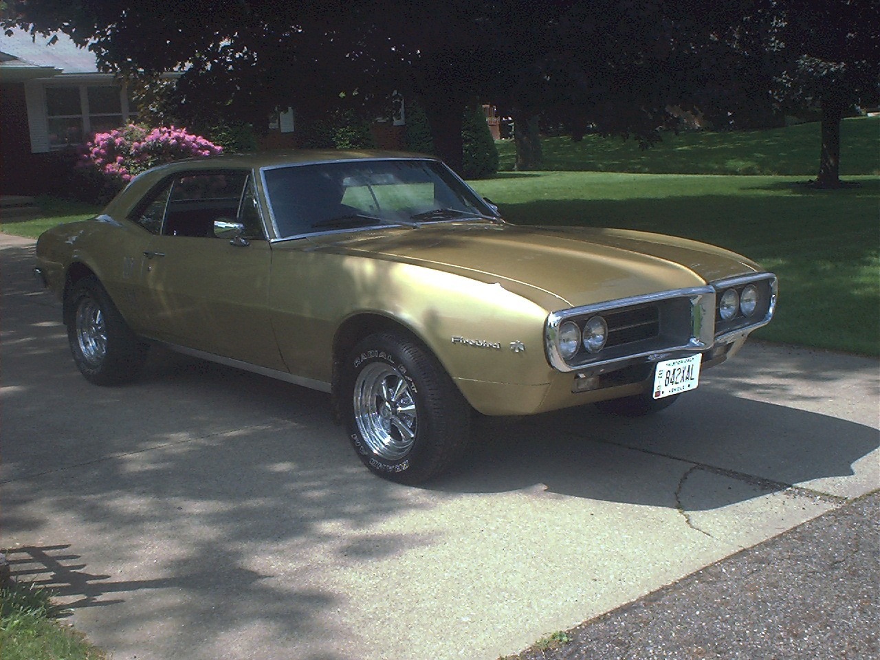 1967 Firebird