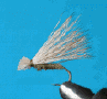 elkxtxt.gif (7706 bytes)
