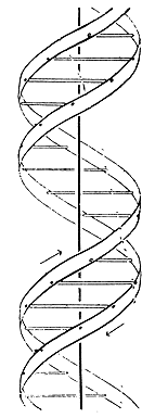 dna.gif (11022 bytes)