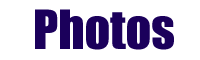 Visit the photos gallery