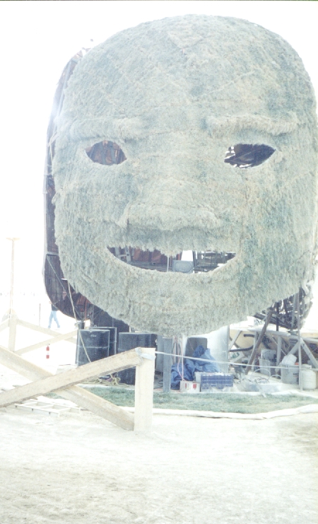 Grass Face