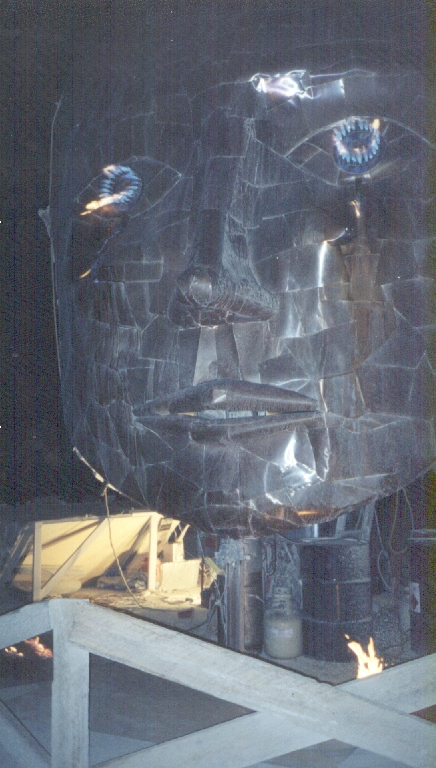 Metal Face Crying Fire