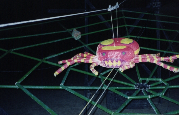 Spider