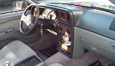 Cougar's Interior