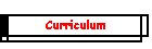 Curriculum