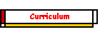Curriculum