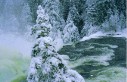 Winter 2