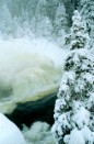 Winter 3