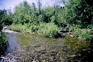 fork in river
