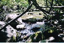 river 1