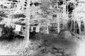 camp, as a negative