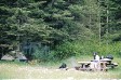 camp, dannielle
