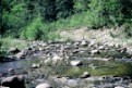 camp's river