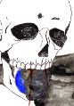 skull world