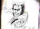 Wolverine, tm