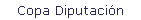 Copa Diputaci�n