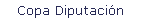 Copa Diputaci�n
