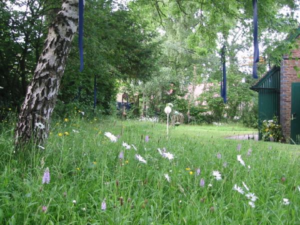 Lawn