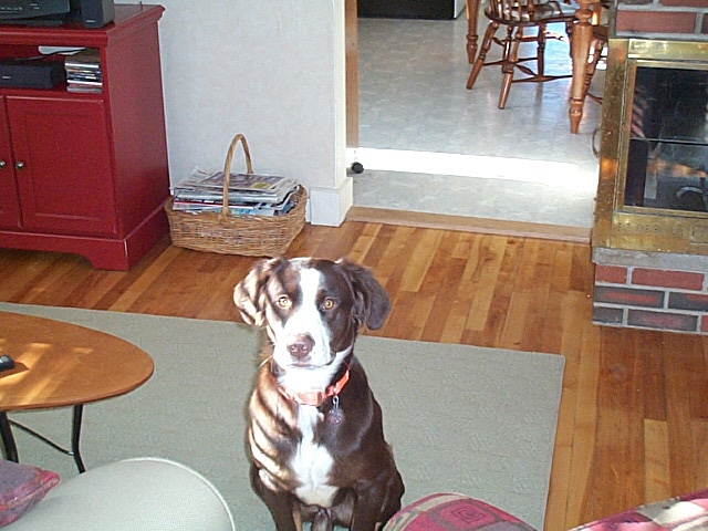 gonzo6.jpg (141442 bytes)