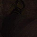 Nico's feet