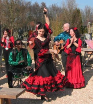 feestbands party entertainers