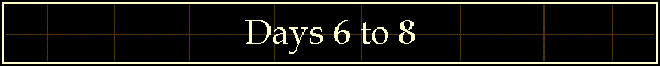Days 6 to 8