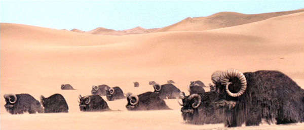 BANTHAS ON THE MARCH