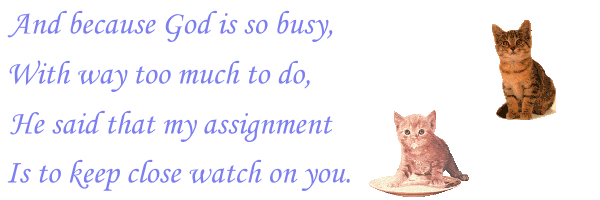 Click to continue to Cat Angels
