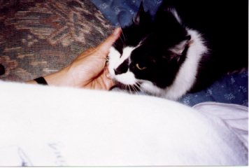 Maggie