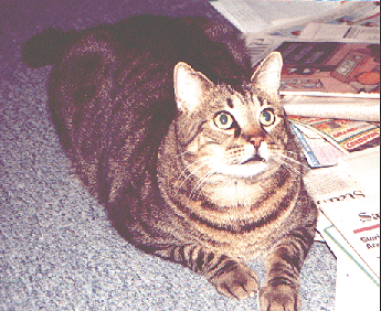 Oliver