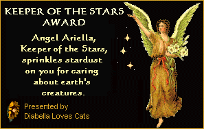Angel Ariella Award