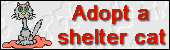 sheltercat