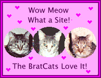 BratCat Award