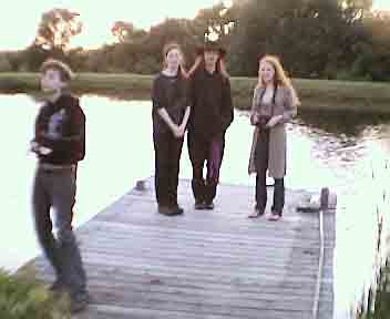 The whole flock on the dock.