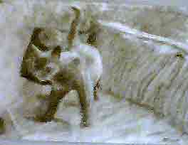 this cat is charcoal on paper, by Jeff, age 14.
