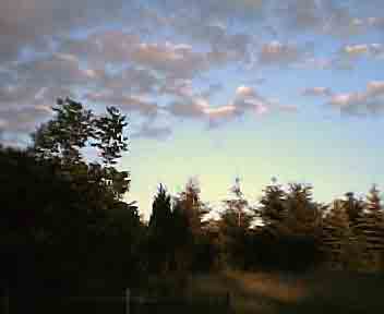 pretty landscapes.