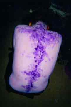 Painting someone purple is different....