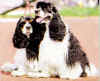 Doris & Felix