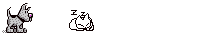 dogcat